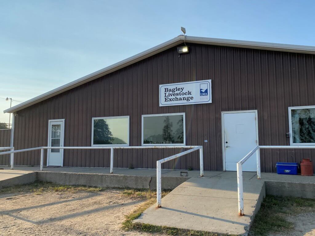 Slaughter Cattle Prices Expected to Move Higher Red River Farm Network