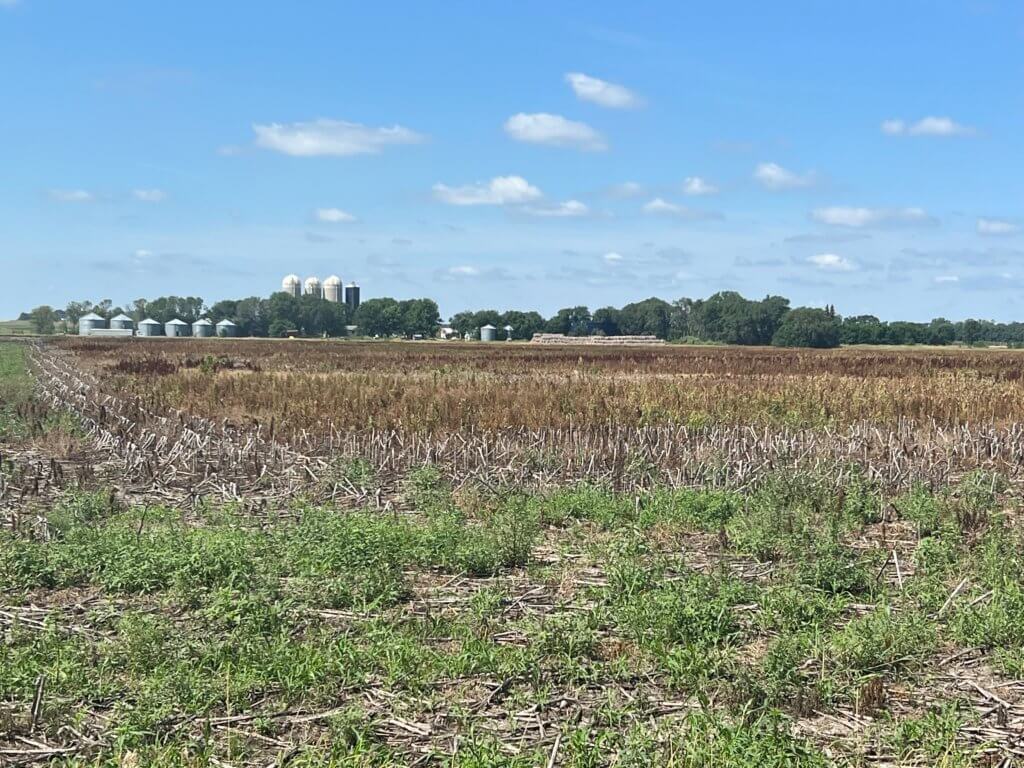 Crop Insurance Agents Wrap Up Prevent Plant Claims Red River Farm Network