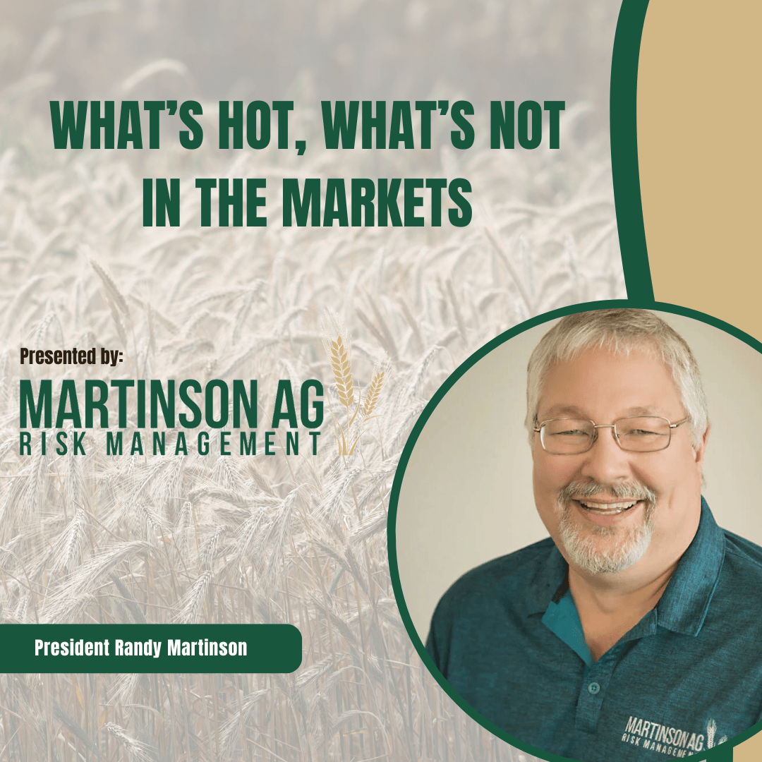 What's Hot What's Not in the Markets